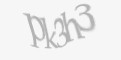 Защитный код