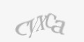 Защитный код